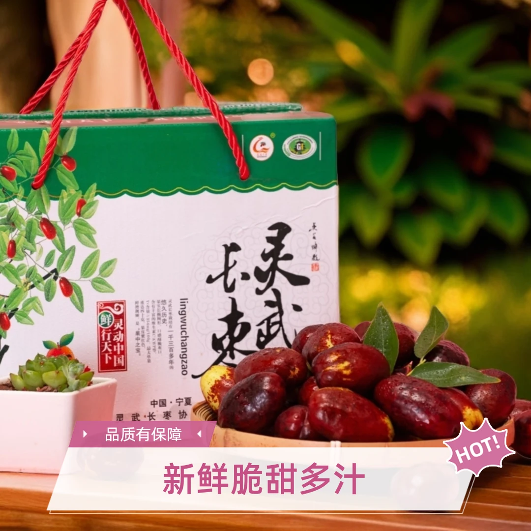 宁夏【灵武长枣】2/3/5斤中大果 现摘新鲜天然甜美品质长红枣