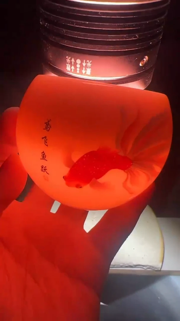 【闪购商品】瓷杯龙蛋鱼跃