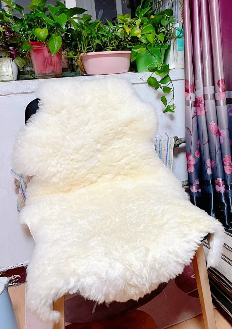 整张羊皮皮毛一体汽车坐垫沙发垫冬季长毛床边飘窗垫坐垫褥子加厚