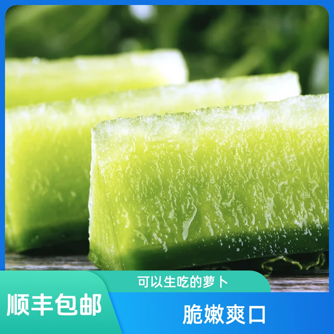 【顺丰速运】天津正宗沙窝水果萝卜生吃脆甜青萝卜脆嫩多汁产地直发