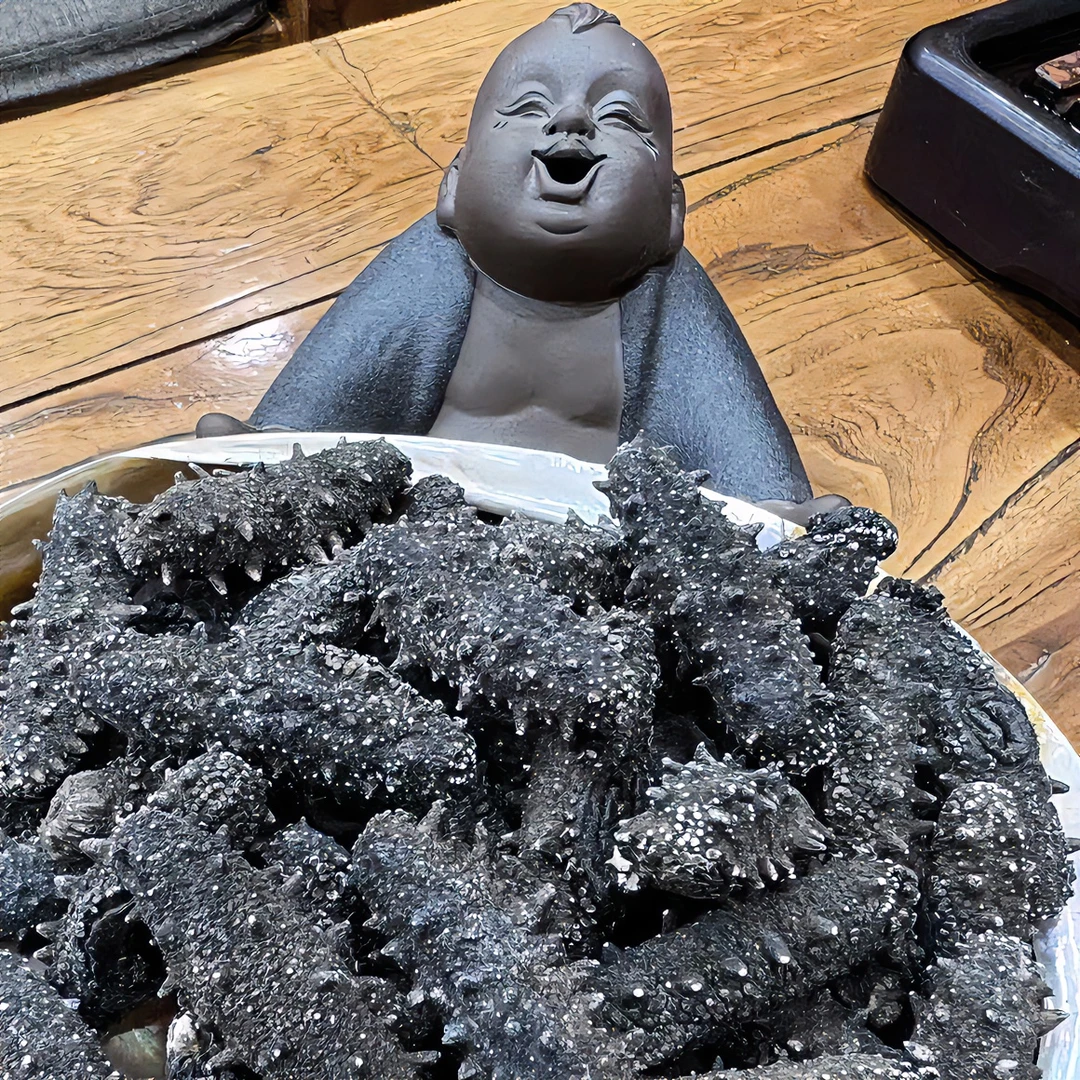 高品质干海参高涨发优质精选美味