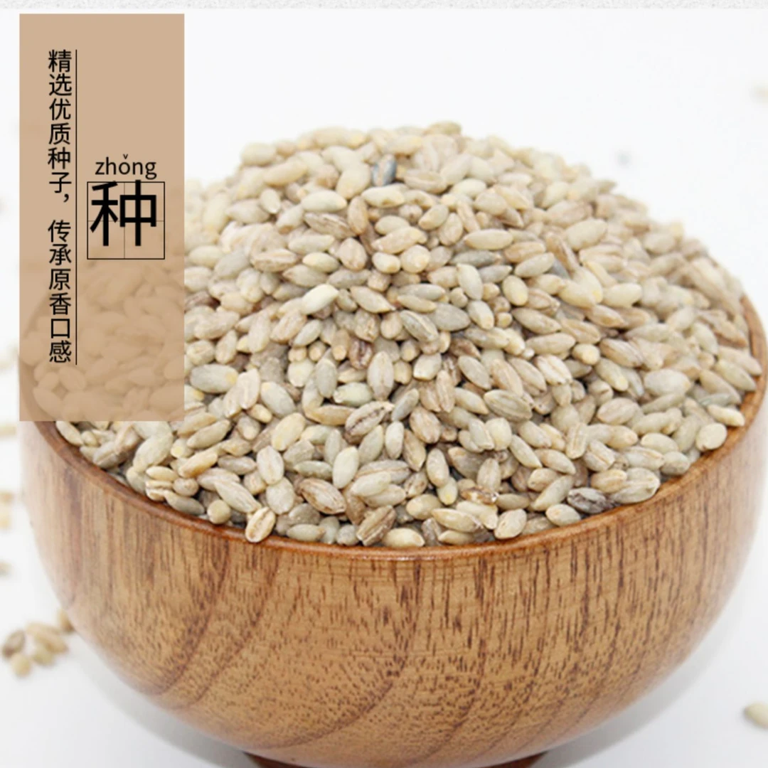 青稞米500g袋包邮高原粗粮五谷杂粮煮粥营养早餐新鲜青稞米正品