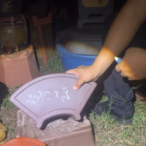 紫砂花盆紫砂花盆