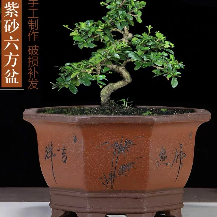 紫砂花盆八角盆景盆梅花老桩盆八方盆手工大号