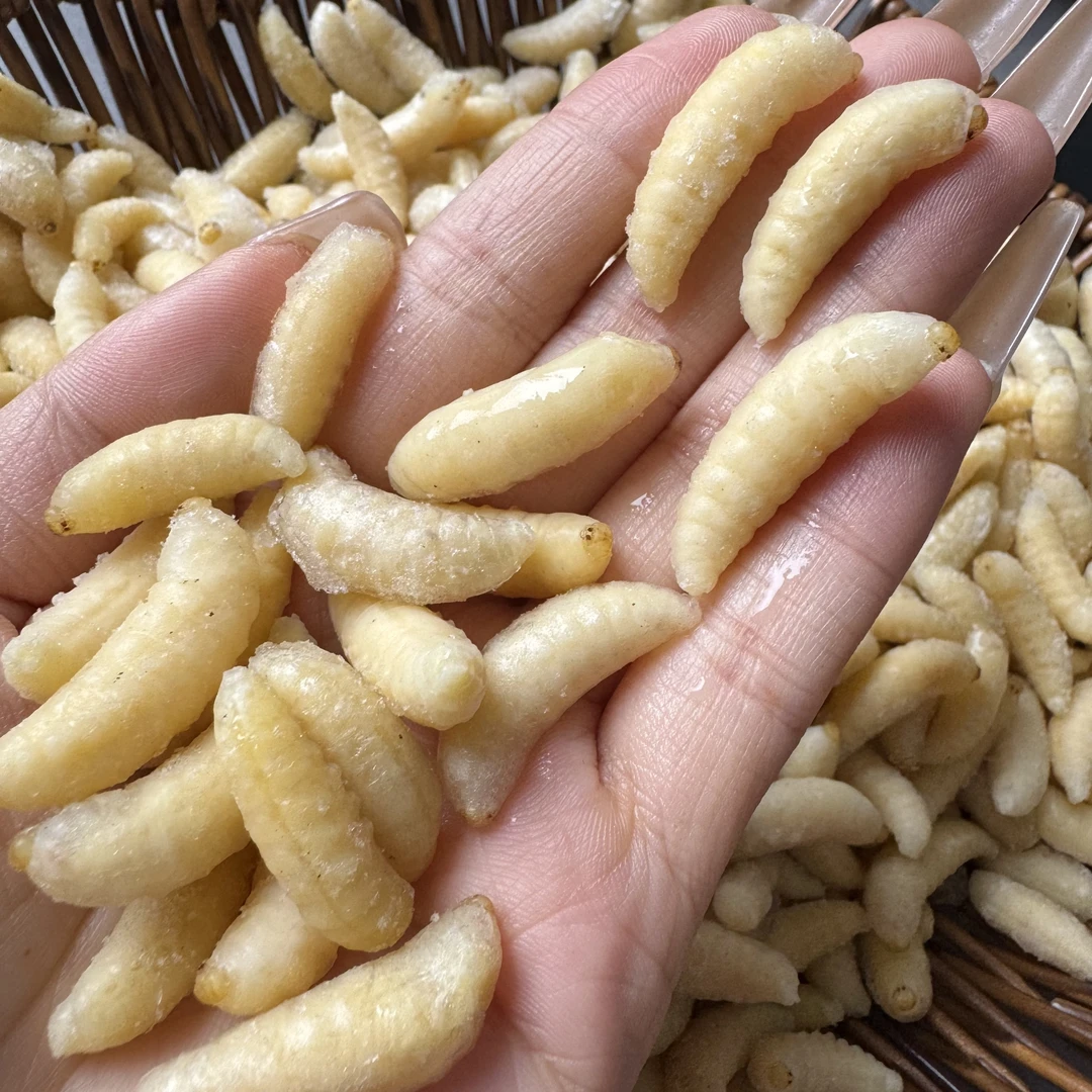 一级蜂蛹新鲜速冻金环虎头蜂嫩虫可食用昆虫保鲜顺丰