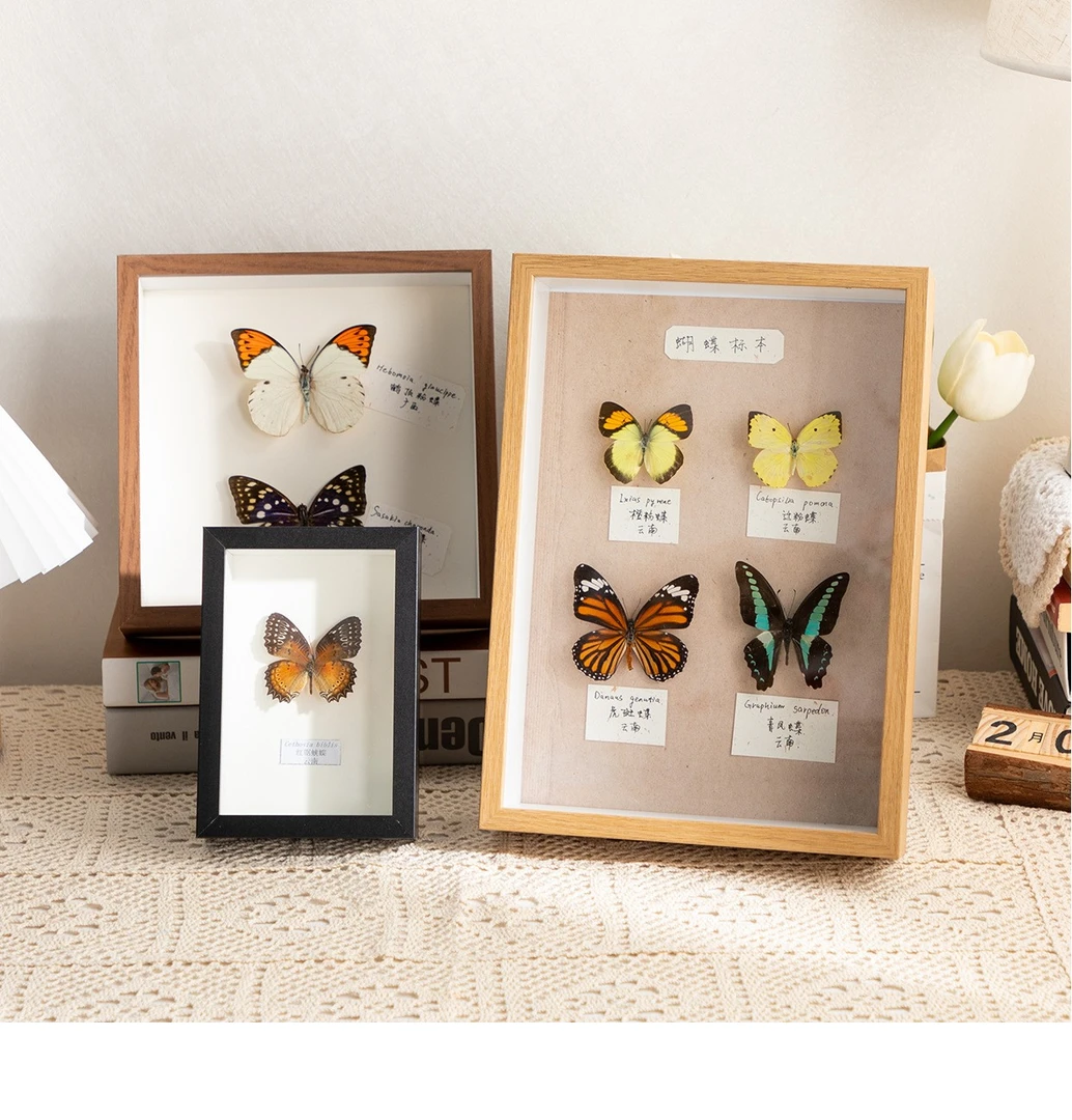 玫瑰花干花相框立体中空蝴蝶永生花8寸摆台手工diy贝壳满天星画框