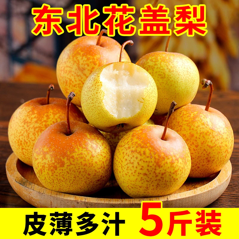 东北花盖梨5斤 鞍山特产新鲜软梨子应季水果 可做冻梨 整箱包邮