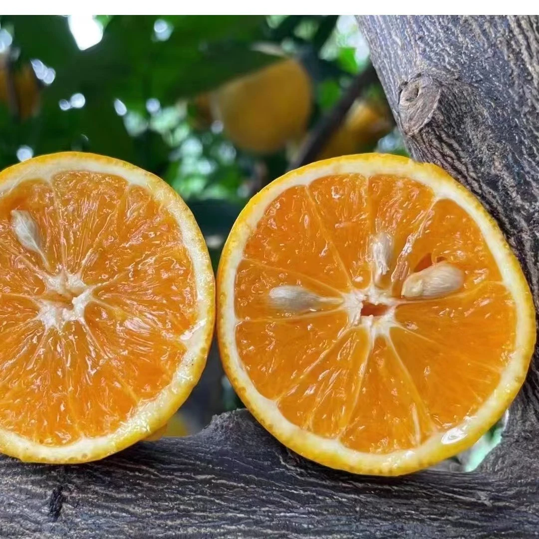 [酸甜可口】秭归夏橙5/9斤装新鲜应季水果个头偏小榨汁水果包邮