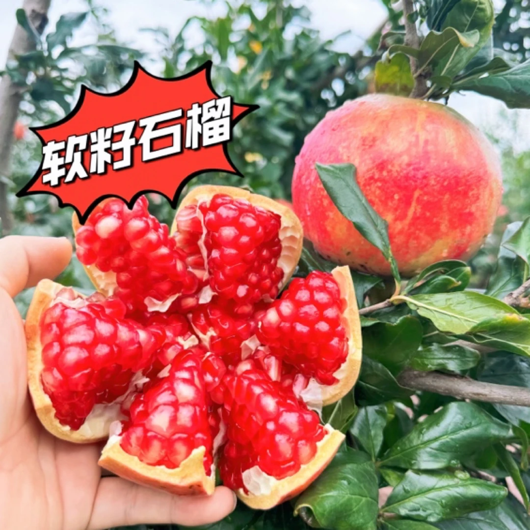 会理突尼斯软籽石榴应季果鲜甜多汁4.5斤8斤整箱包邮石榴软籽水果