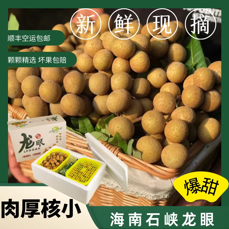 海南石峡龙眼4.5斤装新鲜现摘 去枝条肉厚核小顺丰空运包邮