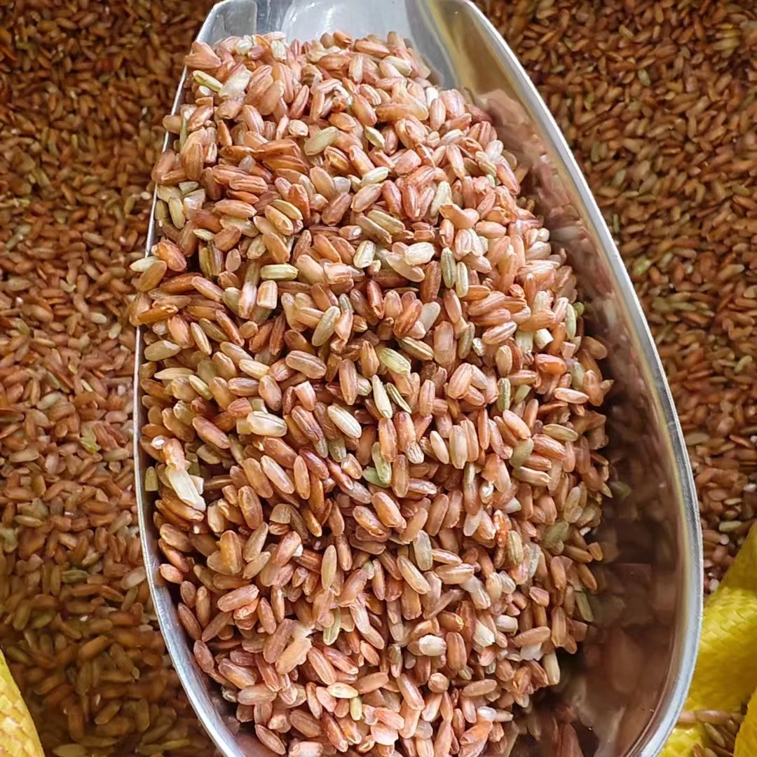 山兰米清香软糯海南山兰稻米红米深山稻米黎族农家大米