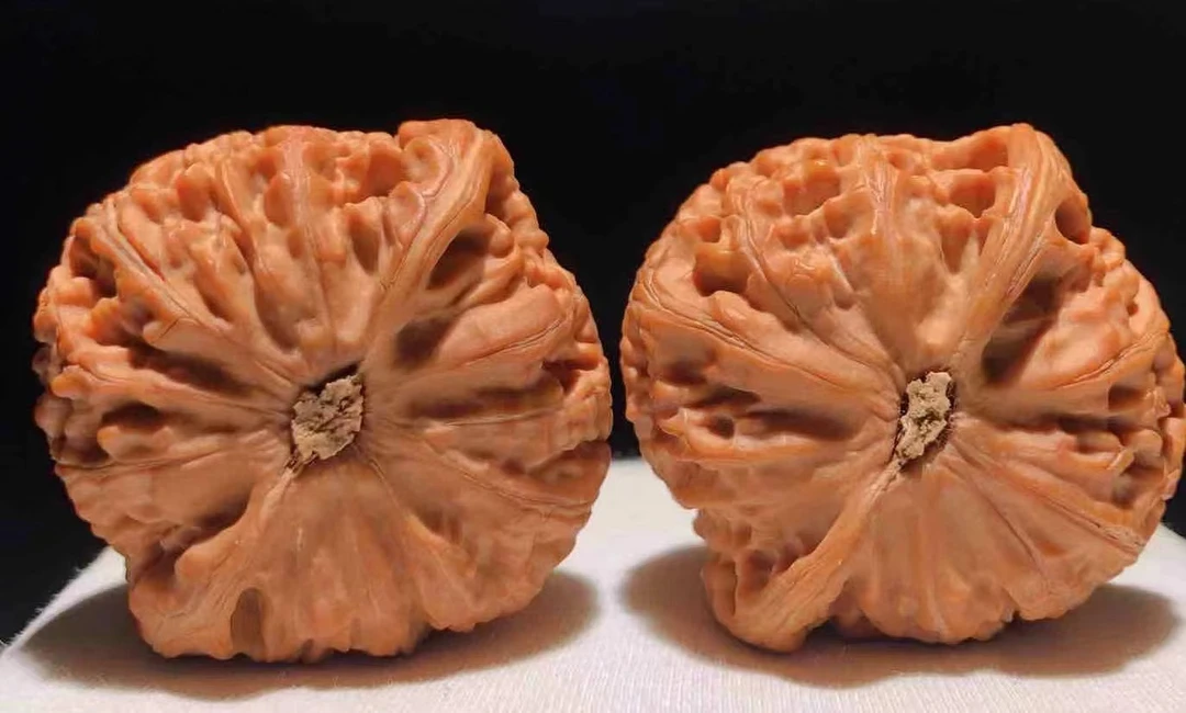 各种精品文玩核桃，直播专用链接，随意下单，随机发货