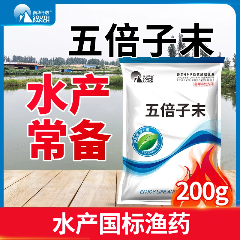 五倍子末水产养殖鱼塘水霉硫醚沙星鱼药兽用