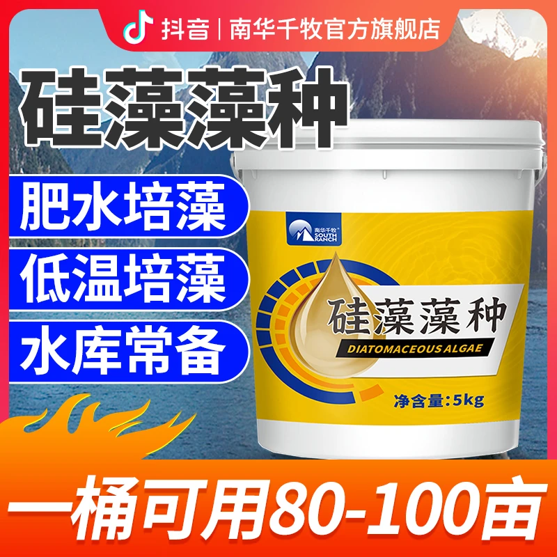 【南华精选】硅藻藻种水产养殖硅藻种鱼虾蟹塘肥水饵料