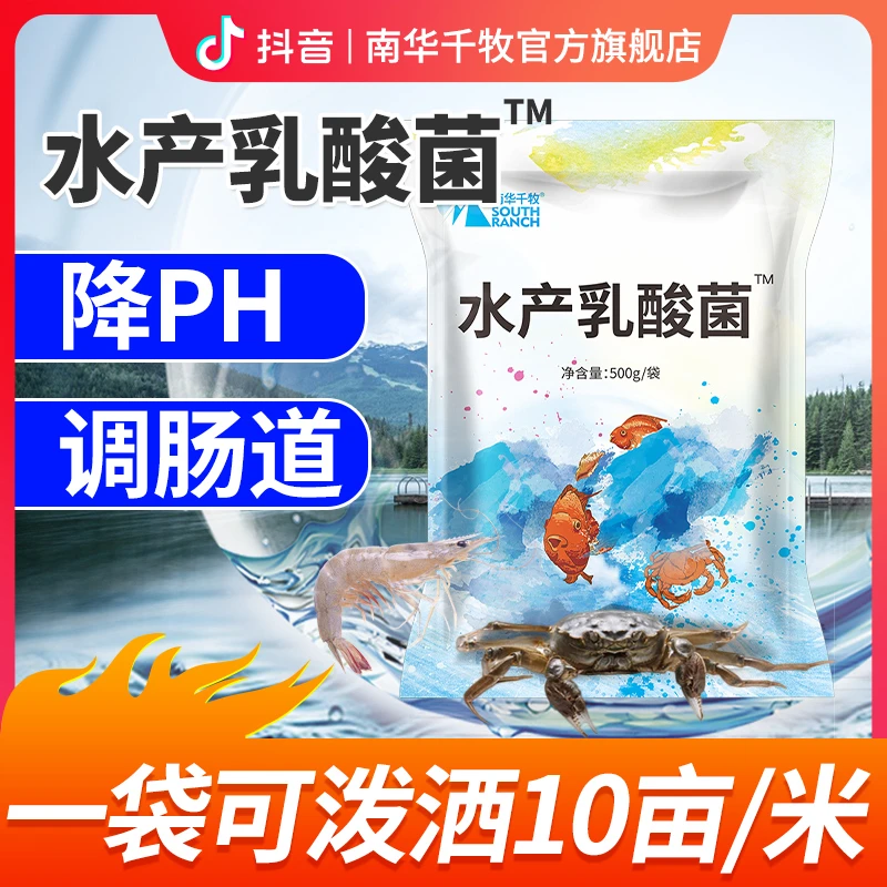【南华精选】浓缩水产乳酸菌控制弧菌降ph值降亚盐氨氮水产养殖调水