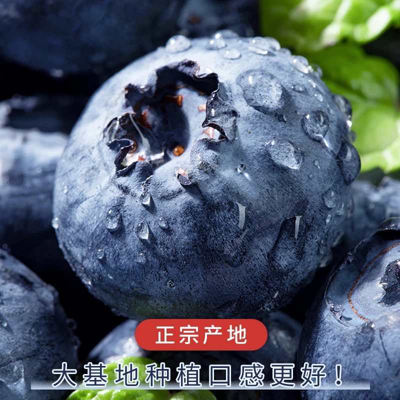 【拍三盒送三盒】高山蓝莓鲜果现摘新鲜脆甜花香蓝莓水果