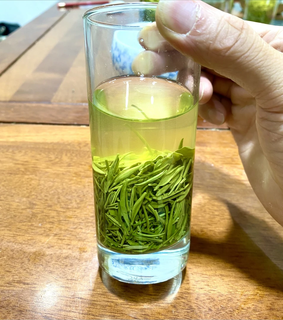 2024信阳毛尖茶叶 A1 高山绿茶雨前口粮茶