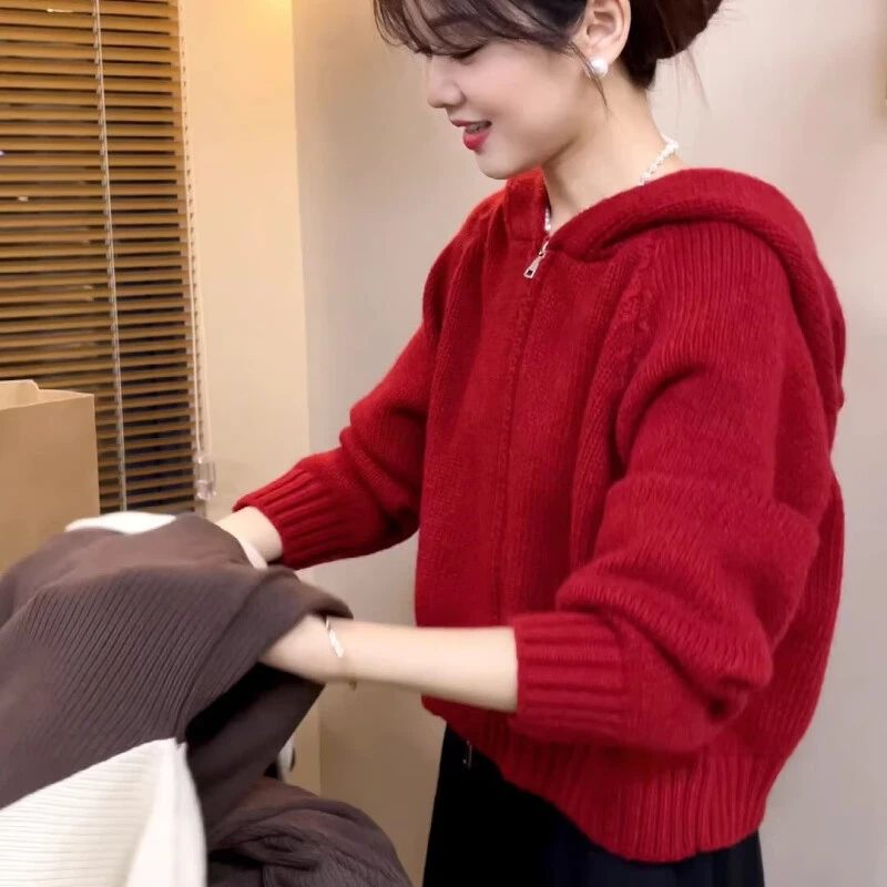 拉链复古红色毛衣女连帽外套设计感小众宽松针织洋气短款开衫春秋