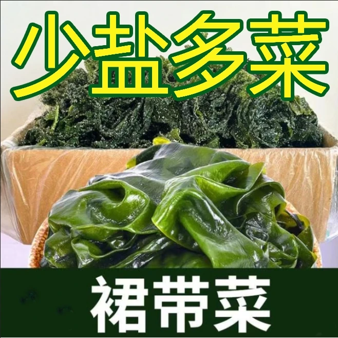 【菜无虫眼】盐渍裙带菜海藻海带鲜嫩凉拌麻辣烫火锅食材批精品美味