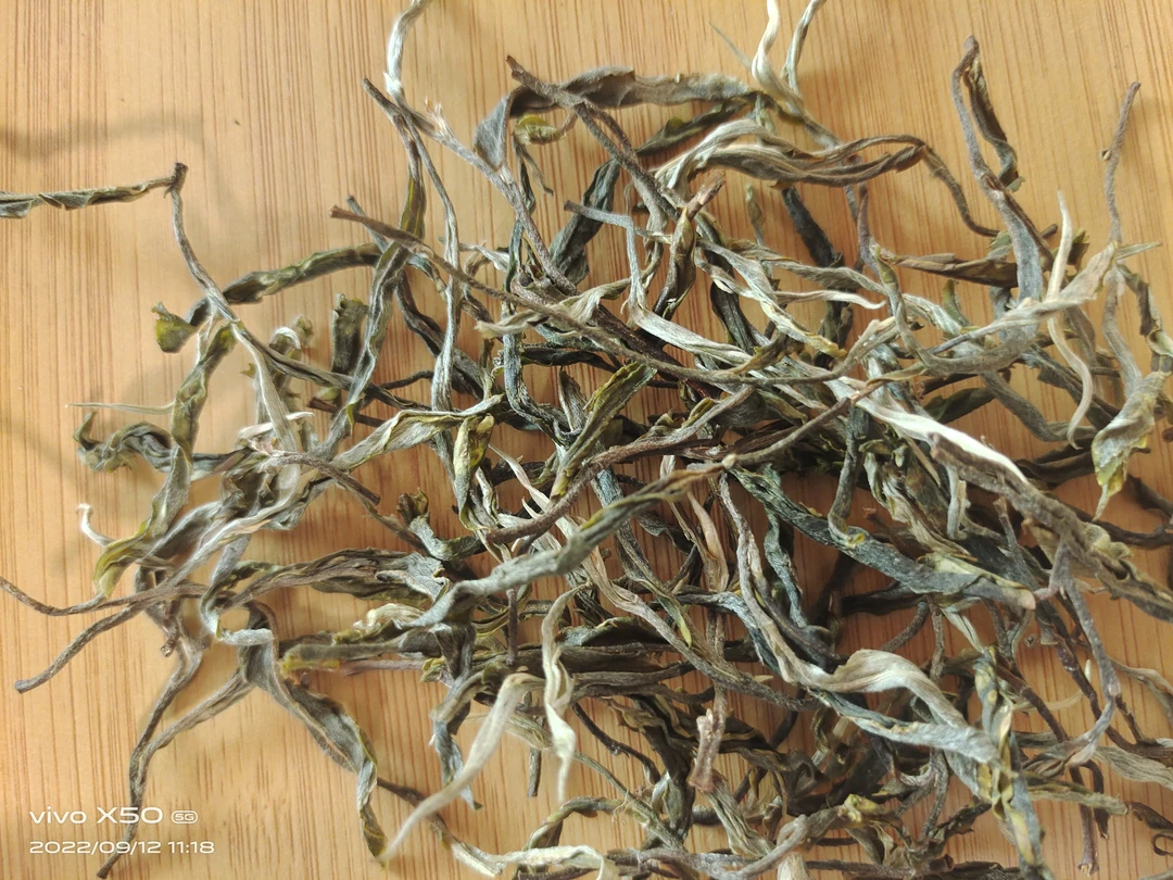 2023年春、森林古树混采、野韵强烈（200克饼）普洱茶生茶