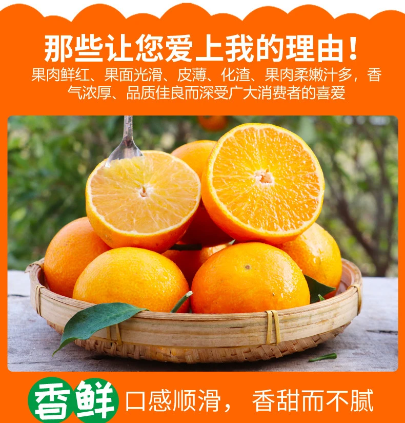 正宗爱媛38号果冻橙果园直发新鲜采摘香甜可口