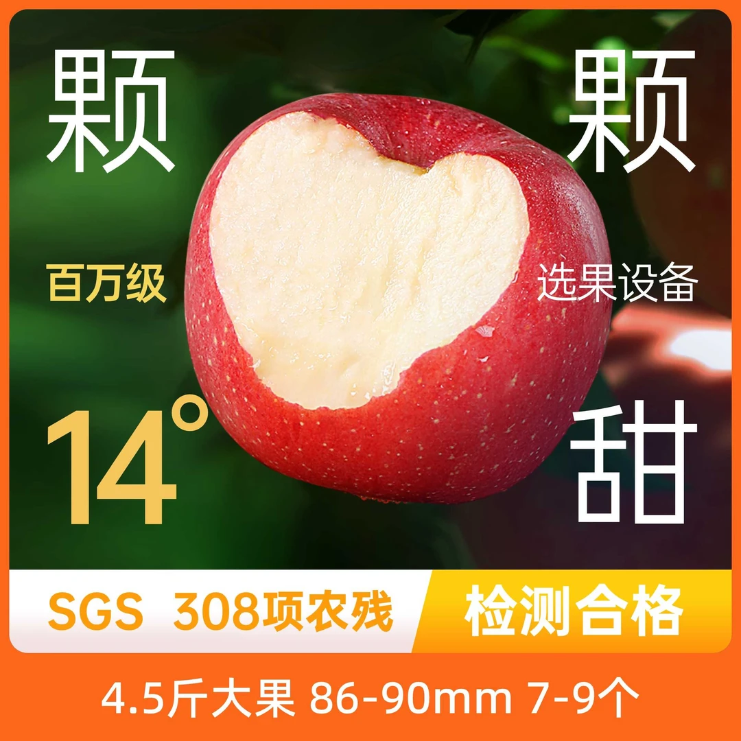 中国陕西洛川红富士苹果