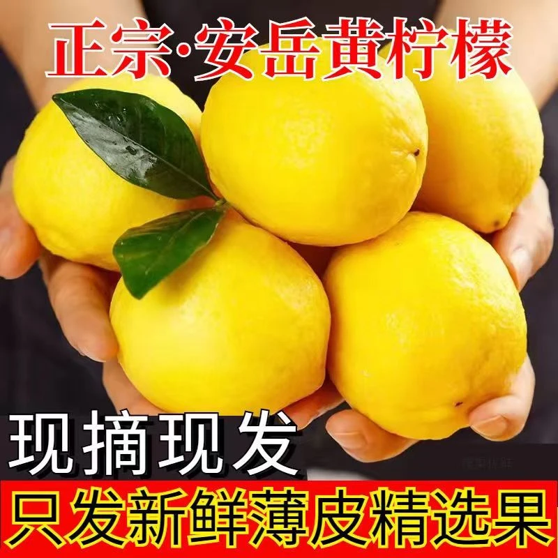 四川安岳黄柠檬新鲜水果当季柠檬 1斤 皮薄多汁
