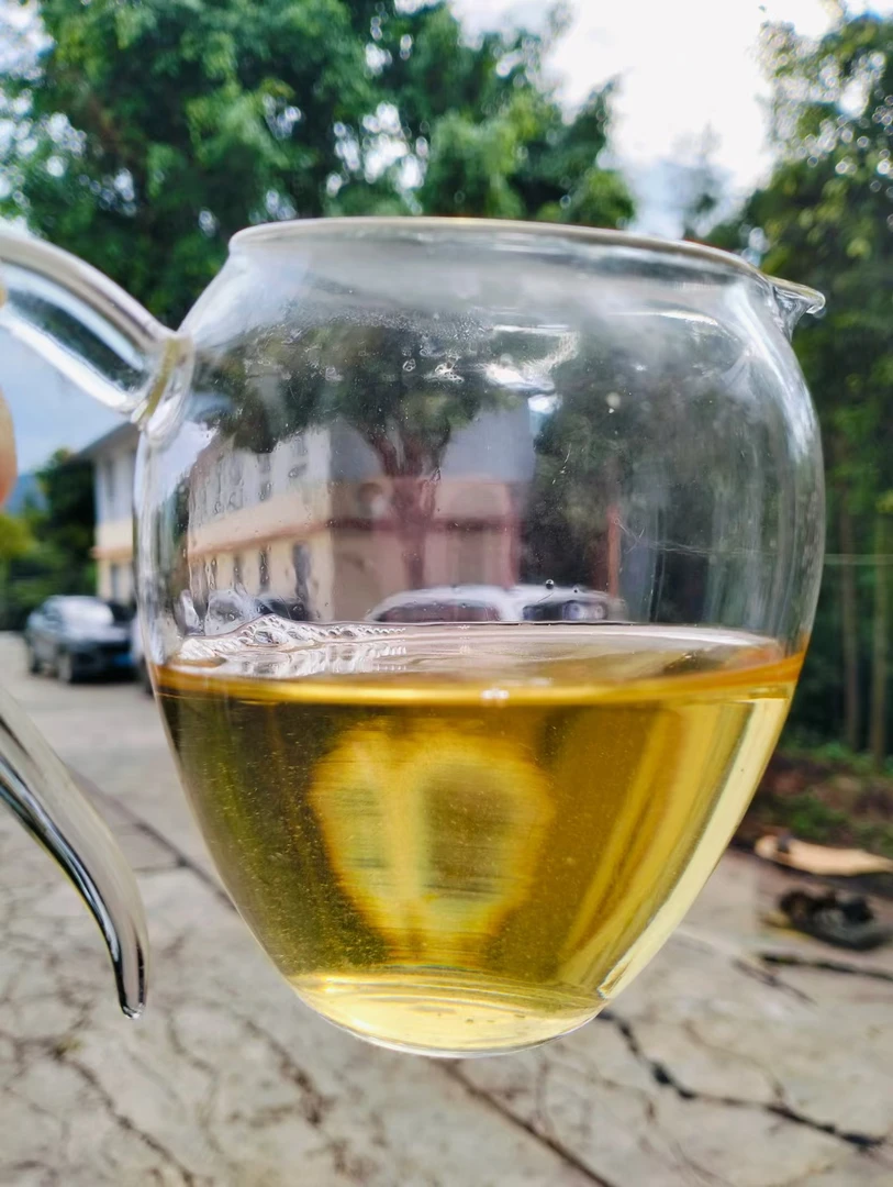 茂本通用链接、12月16号福利单