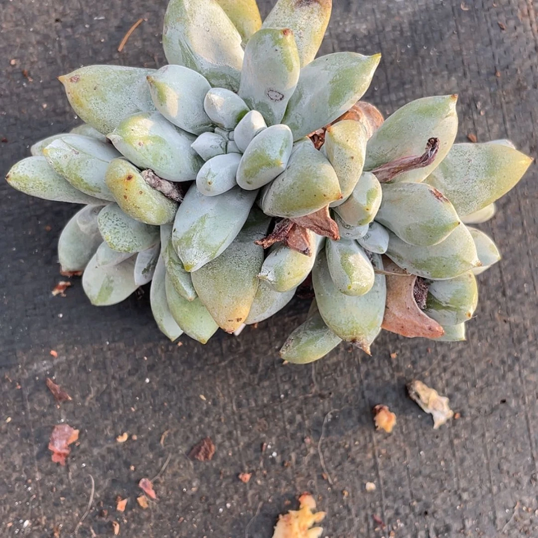 【闪购商品】用****0