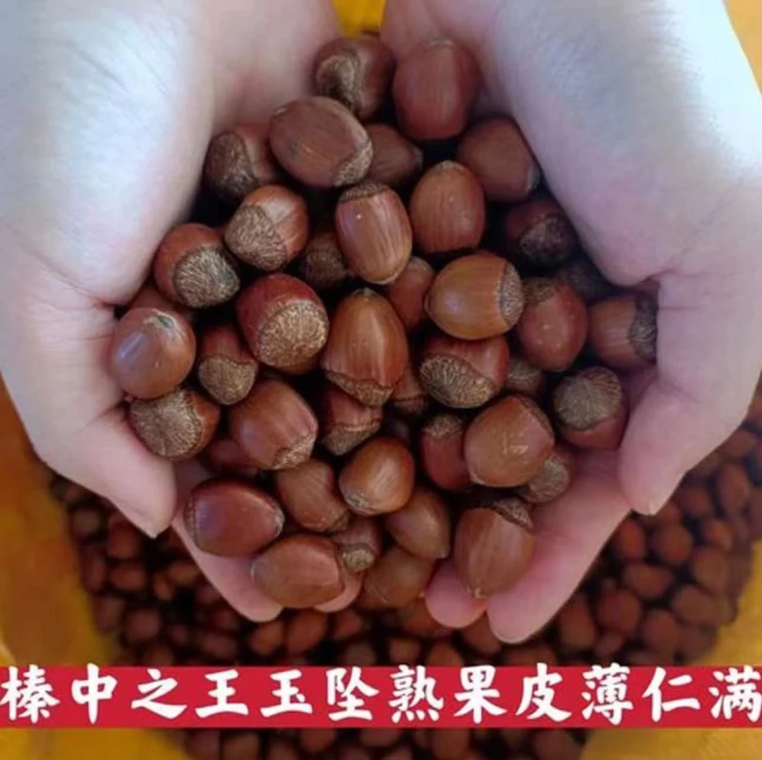 纸皮玉坠（2斤/3斤/5斤）零食坚果