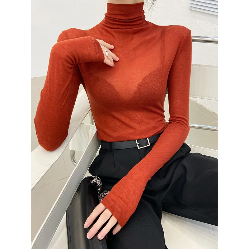 高领内搭打底衫女网纱洋气秋冬薄款高级感黑色上衣堆堆领面膜t恤