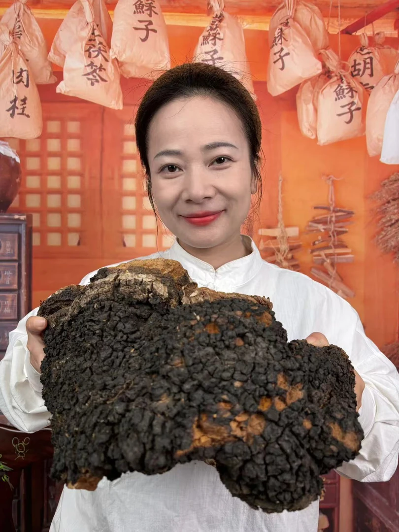 西藏高海拔桦树茸灵芝500g煮水带黑晶