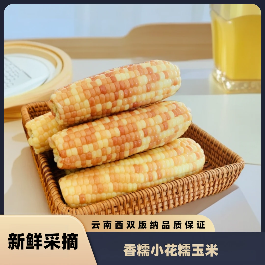 云南西双版纳玉米香糯小花糯玉米粒真空加热即食早餐甄选美食营养