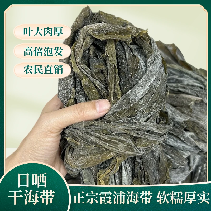 【霞浦精品2斤干海带】无干燥剂新鲜干货新货日晒绿色厚实整条批发