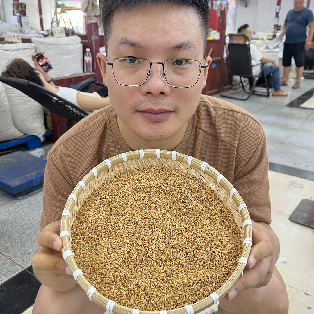 【本草李博士】正宗柏子仁道地山东柏子仁去壳高品质精选配决明子