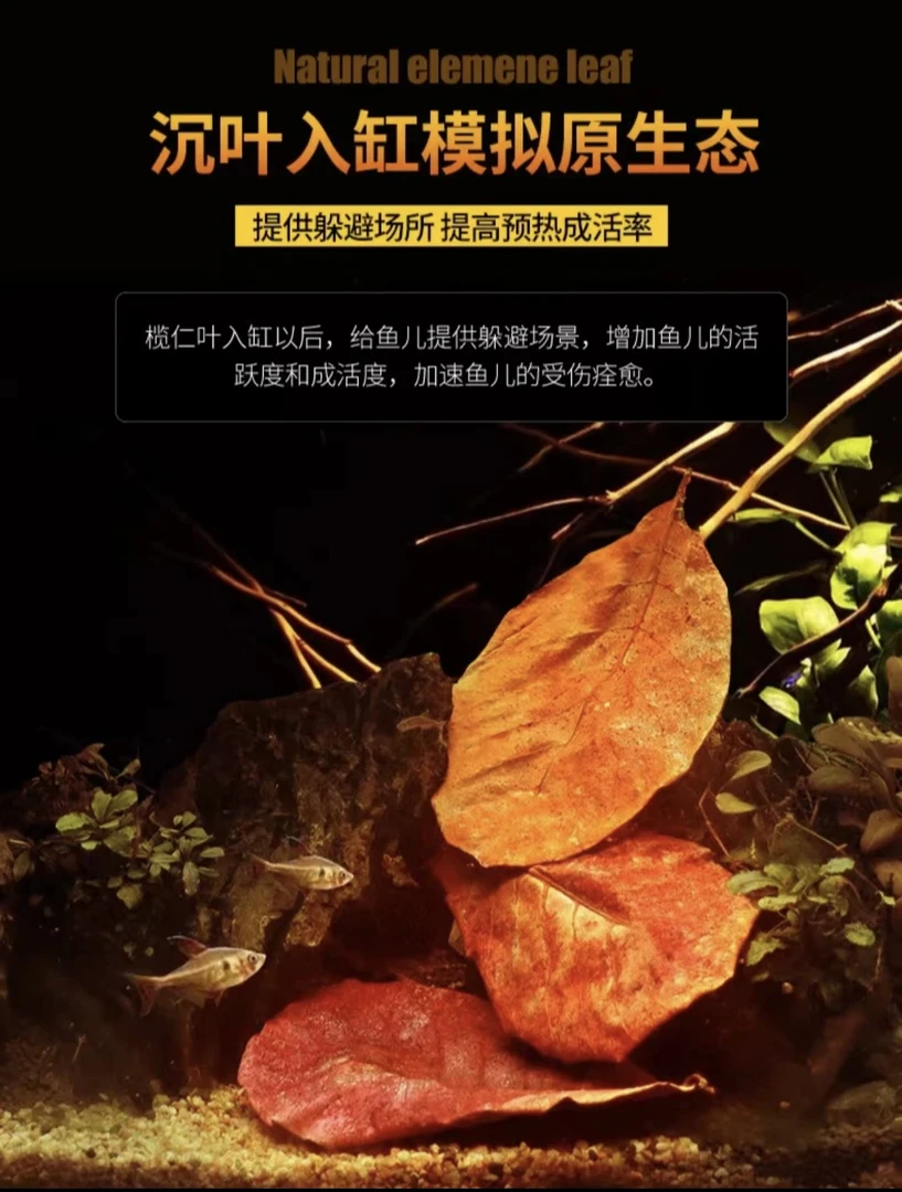 渔乐水族鱼缸榄仁叶鱼缸造景降酸PH值调节剂水质榄仁叶