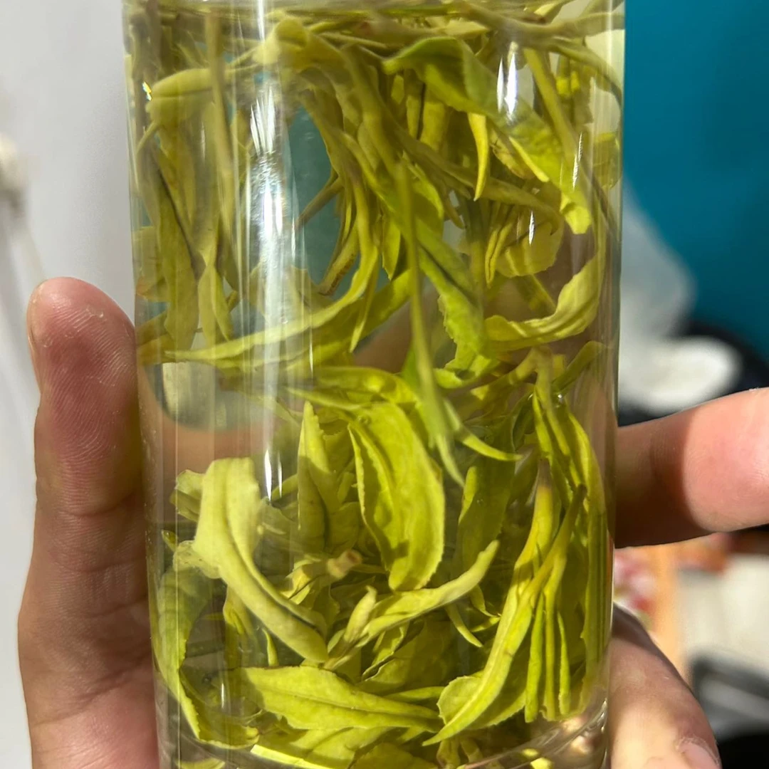 2024年春茶！小陈推荐（绿茶）味浓耐泡