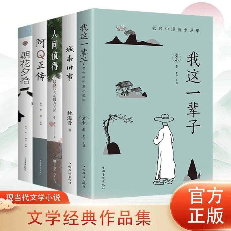 经典文学作品集我这一辈子城南旧事朝花夕拾阿Q正传人间值得书籍