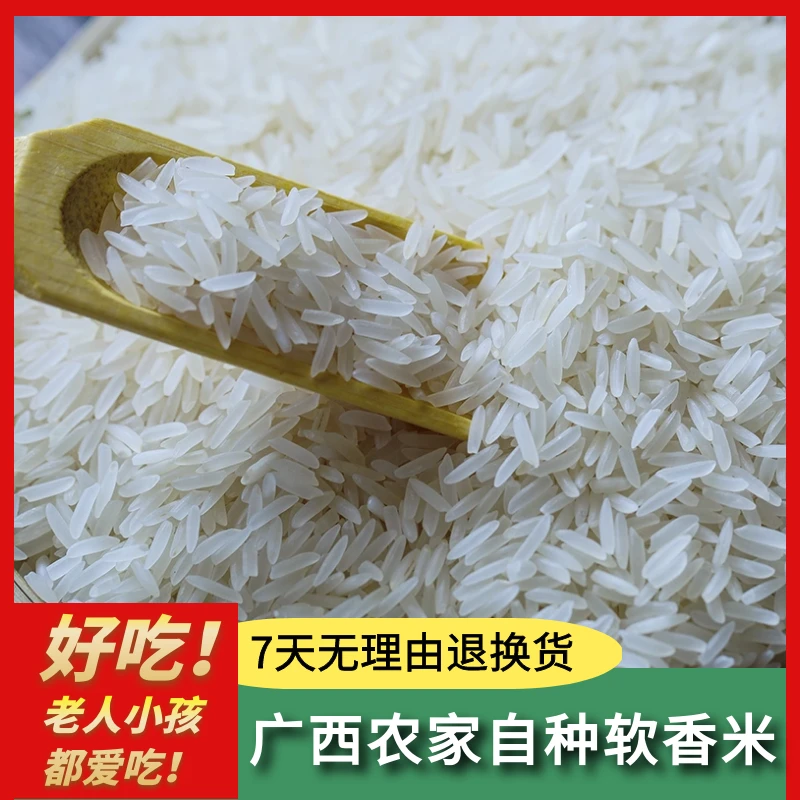 山瑶仔广西瑶山2025年新米农家长粒米香软苗丝米5斤10斤猫牙香米
