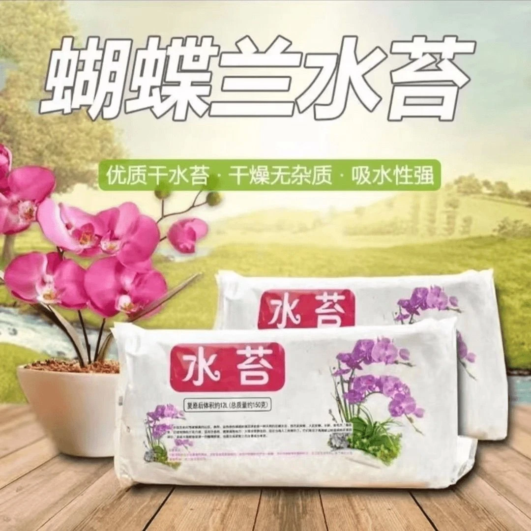蝴蝶兰专用有机水苔
