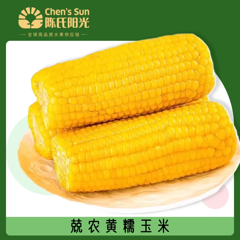 兢农黄糯玉米满口软糯香甜