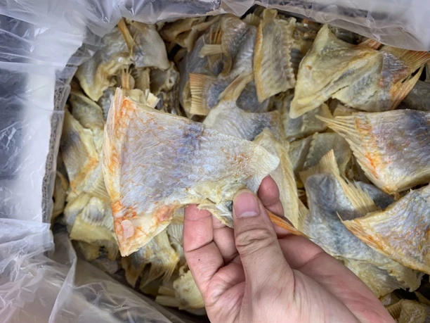 【蚝西施专线】本港红立鱼肉块包邮