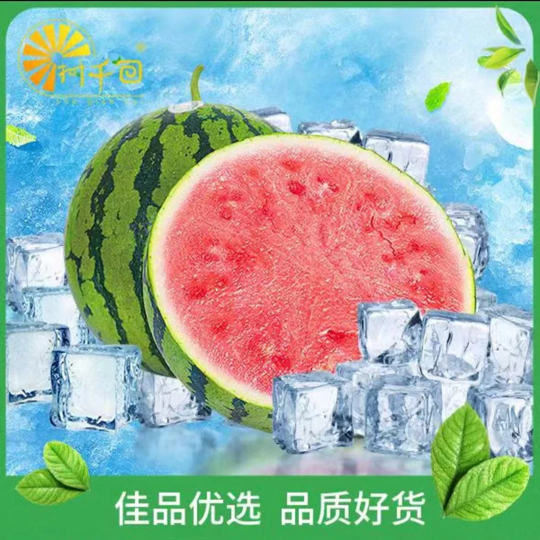 无籽麒麟西瓜整个约10斤 脆甜需要冰镇请备注【整果】