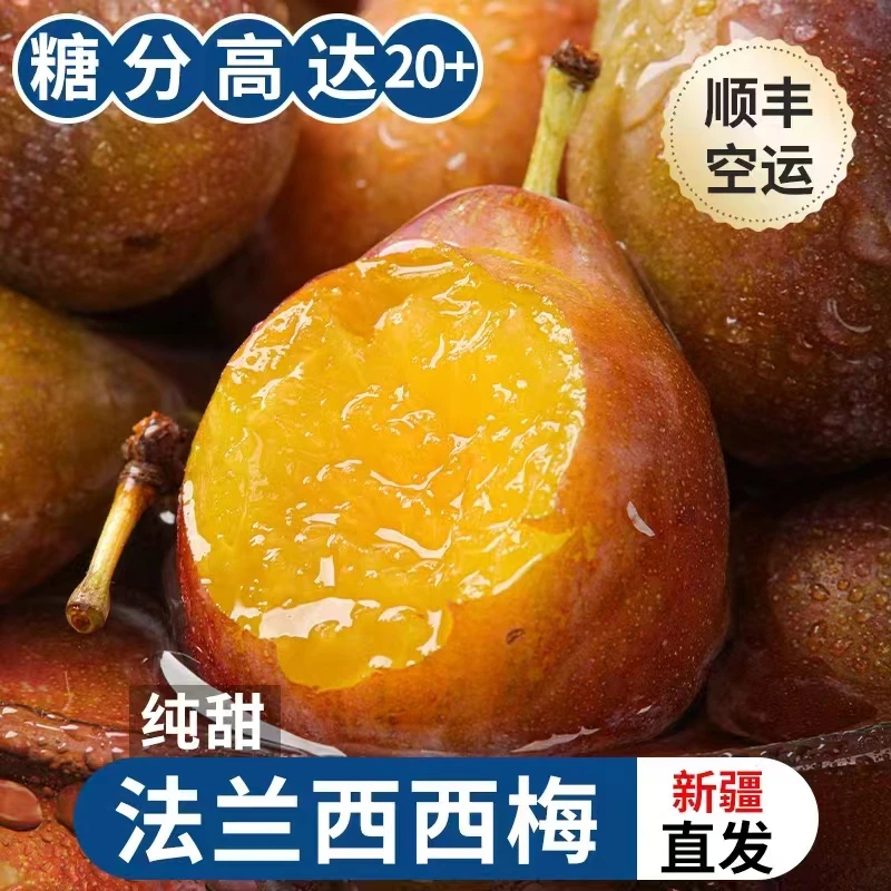【送一斤 顺丰空运】3斤装爆甜新疆喀什法兰西西梅新鲜水果现摘现发
