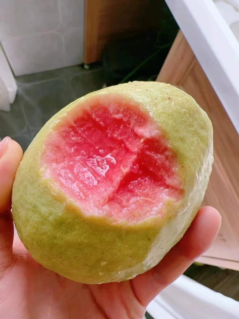 红心芭乐一盒两个