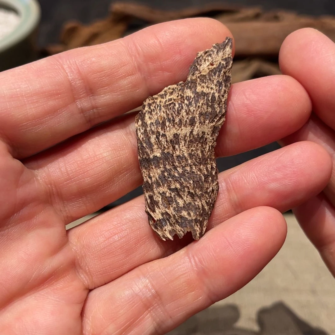 【闪购商品】沉香吊坠海南