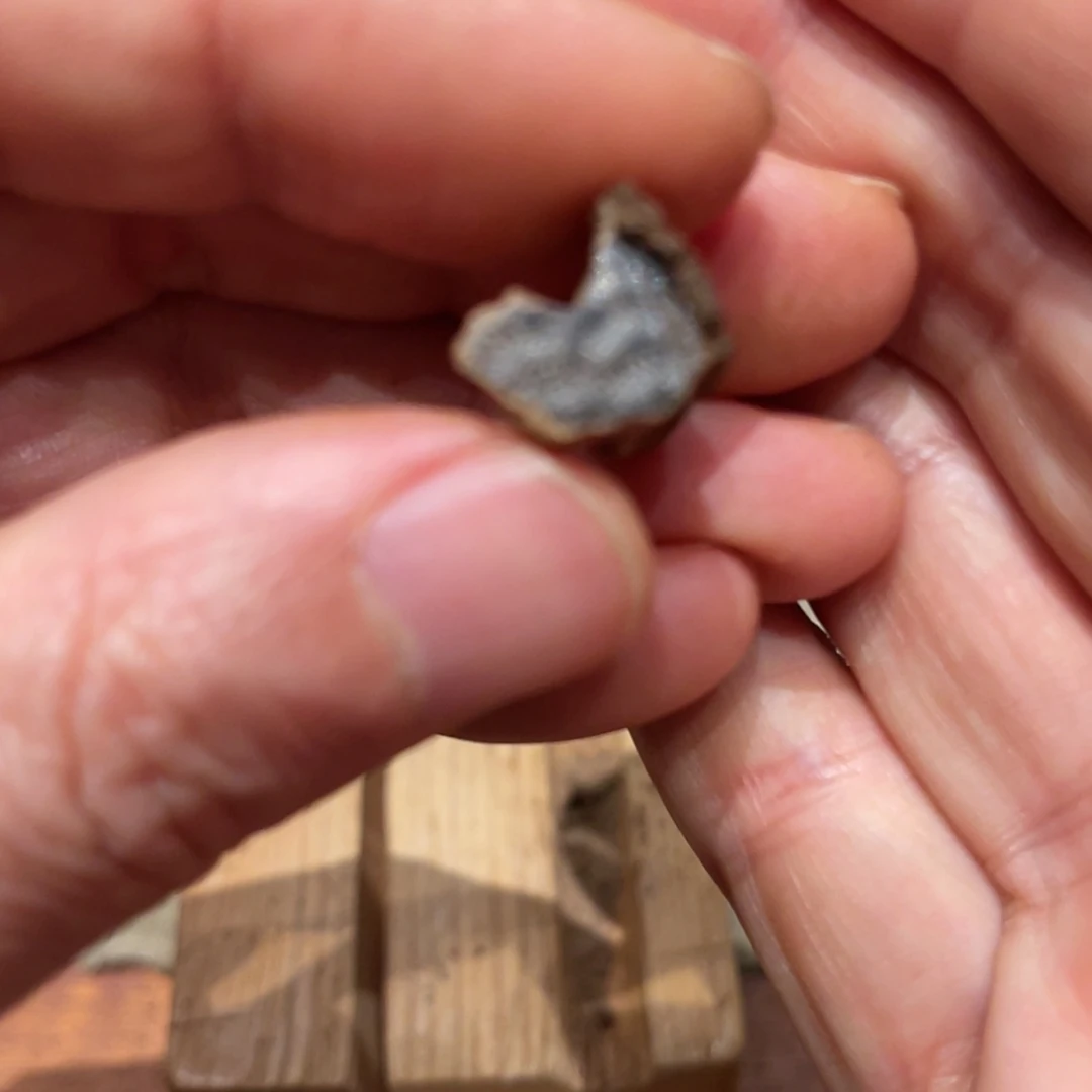 【闪购商品】沉香吊坠太****葵越南富森红土