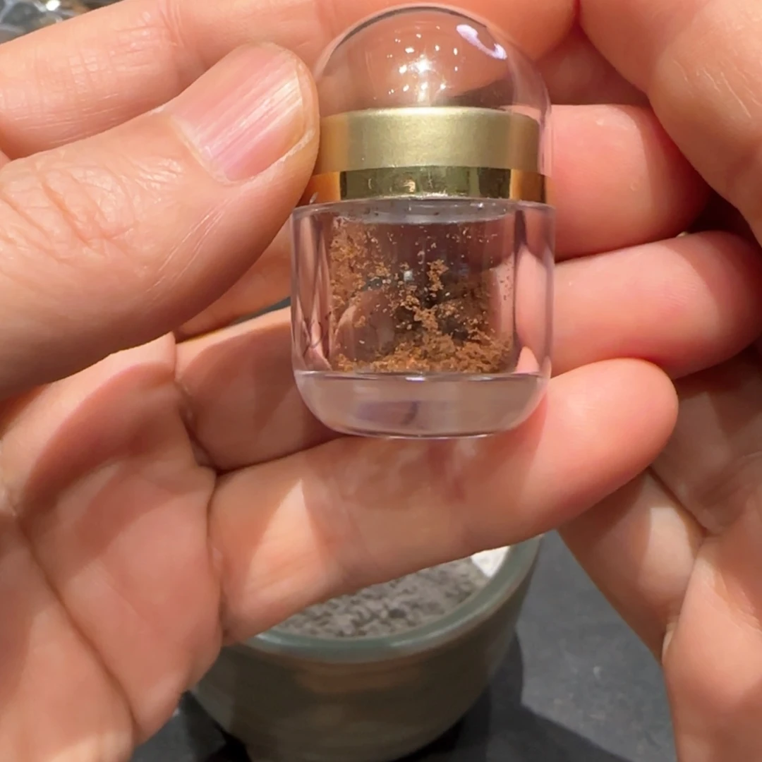 【闪购商品】沉香吊坠芽庄白棋
