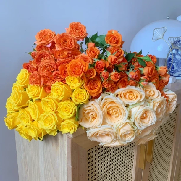 【新手必入】金枝蜜桃芭比玫瑰组合 玫瑰鲜花黄玫瑰多头玫瑰1单包邮