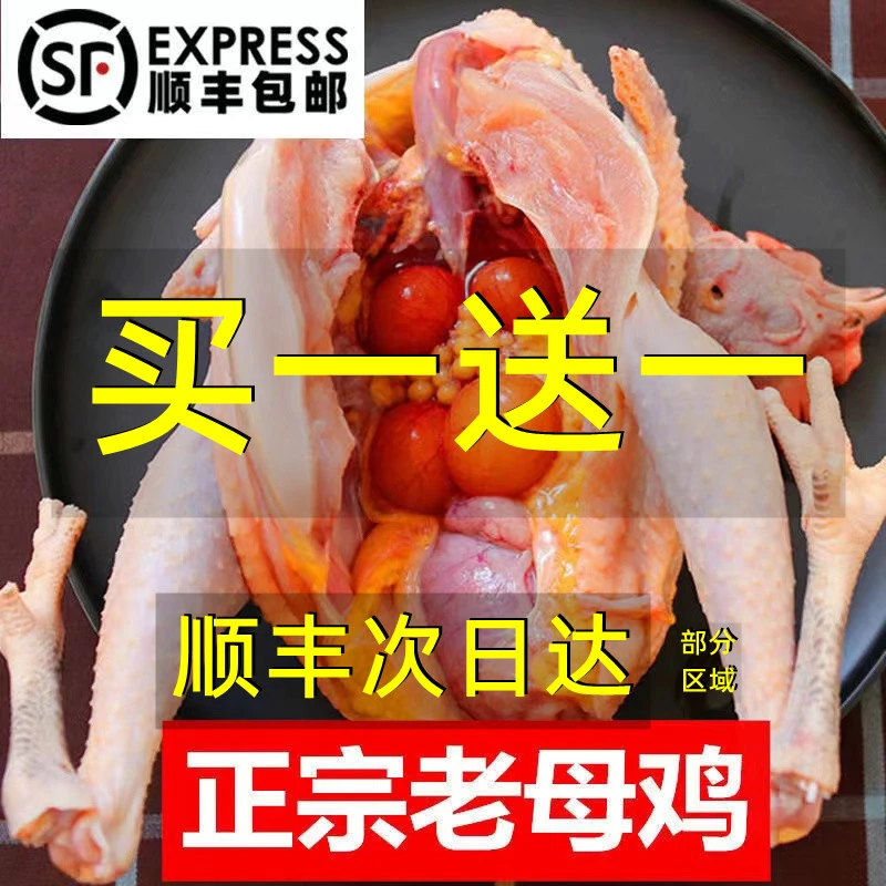 2只3年正宗老母鸡现杀新鲜土鸡农家散养柴鸡走地鸡草鸡笨鸡整只